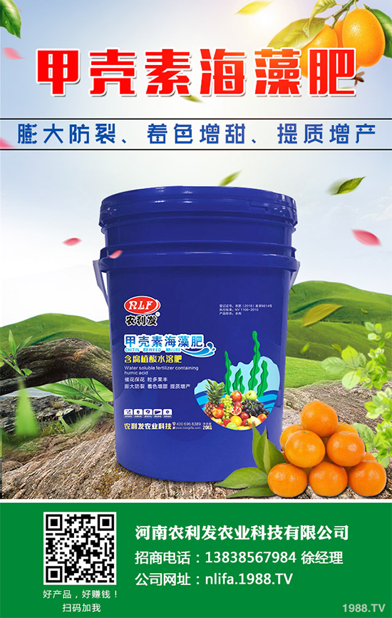 種植白術(shù)掙錢嗎?2020白術(shù)種植前景及效益分析