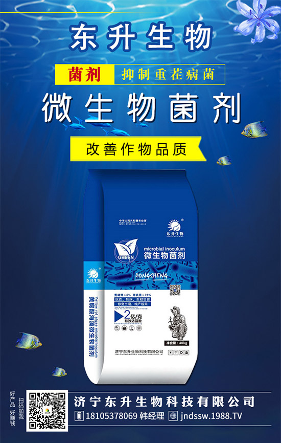 �²�Ʒ�N����Щ���²˵��B(y��ng)ֳע����헣�