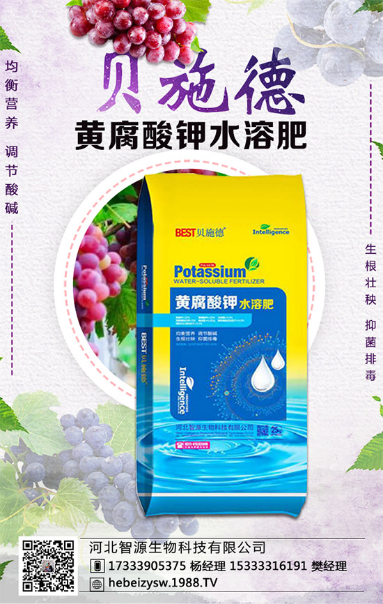 �۲˵ĠI�B(y��ng)�r(ji��)ֵ����Щ�������۲���ʲô��̎��