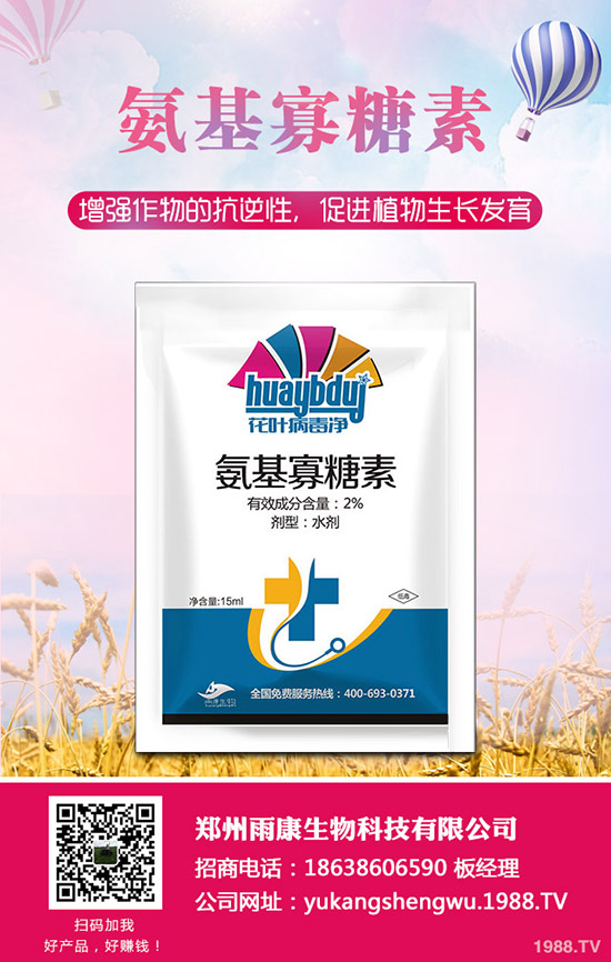 ���Ѱl(f��)���ʺ���ô�k�����ѷʺ���ô���ٻ֏���