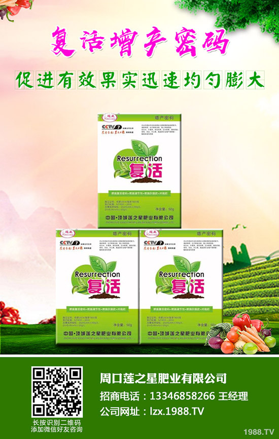 �n�����ʩ�����n����ʲô���Ϻ���