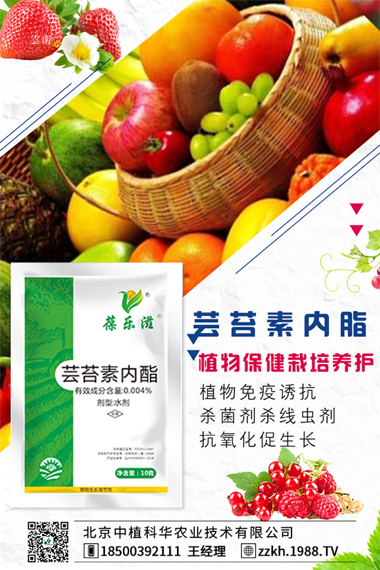 ���Ҫ��ô�Nֲ�����ˮ�ʹ���Ҫ�c��