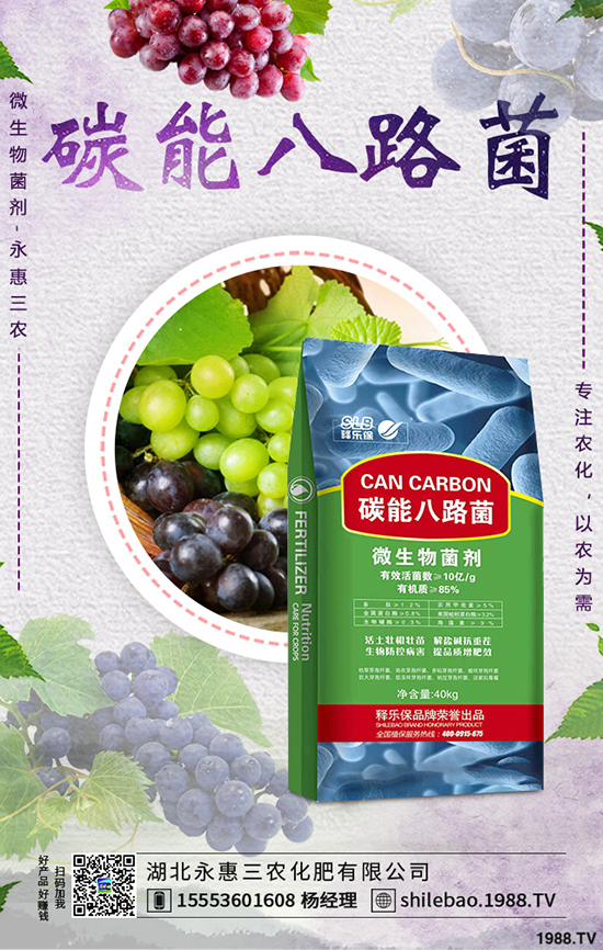 �{�˷Nֲ�r�g��ʲô�r�����{�˷Nֲ�������g(sh��)