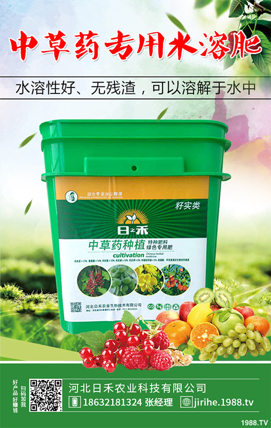 射干該怎么種植?中藥材射干的種植技術(shù)要點