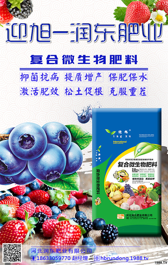 大棚香椿怎么栽培?大棚香椿高產(chǎn)栽培技術(shù)