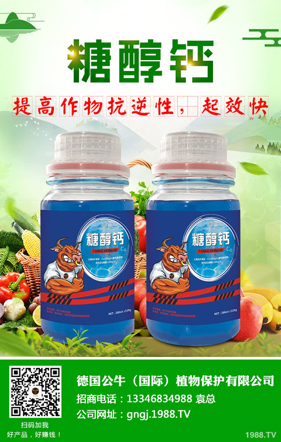 ����ʩ���v����������ʩ���Ľ���