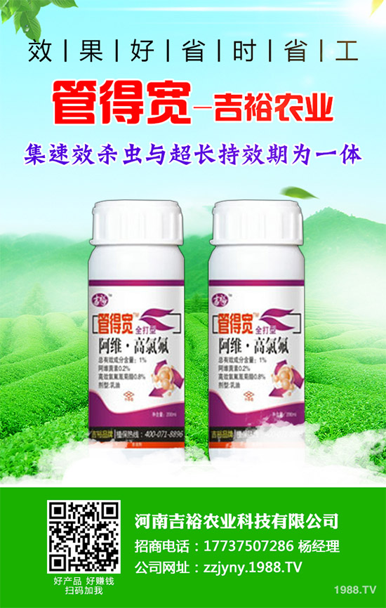 �����������x�������������������g(sh��)����