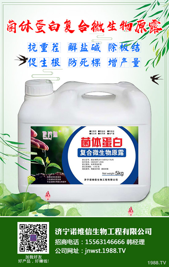 大豆施用硼肥有哪些好處?大豆施用硼肥的技術!