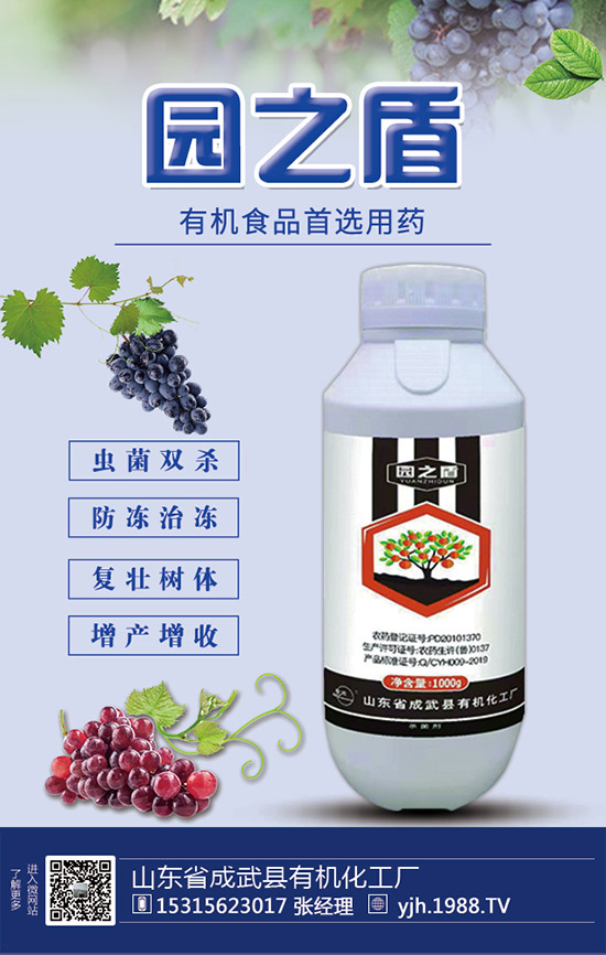 ����������ԣ�����ʩ�ʼ��g(sh��)��Ҫ�c��