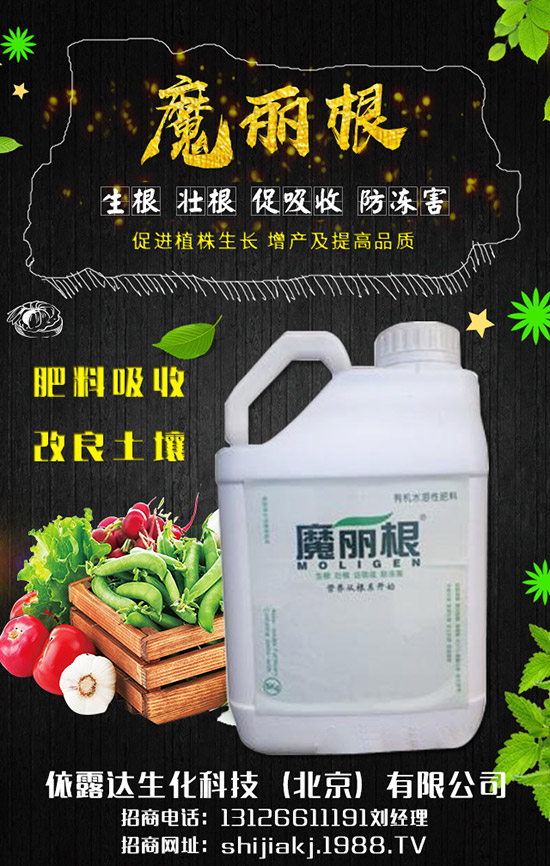 香蔥對環(huán)境的要求有哪些,香蔥的種植季節(jié)及日常管理!