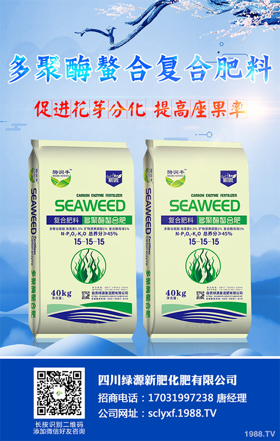 向日葵什么時(shí)候播種?該如何管理?高產(chǎn)向日葵高產(chǎn)種植管理技術(shù)