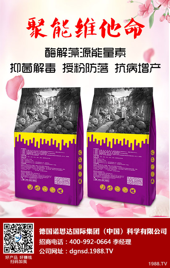 �ܱ��Ϲ���ô�Nֲ���ܱ��Ϲϵ����༼�g(sh��)Ҫ�c(di��n)�c������