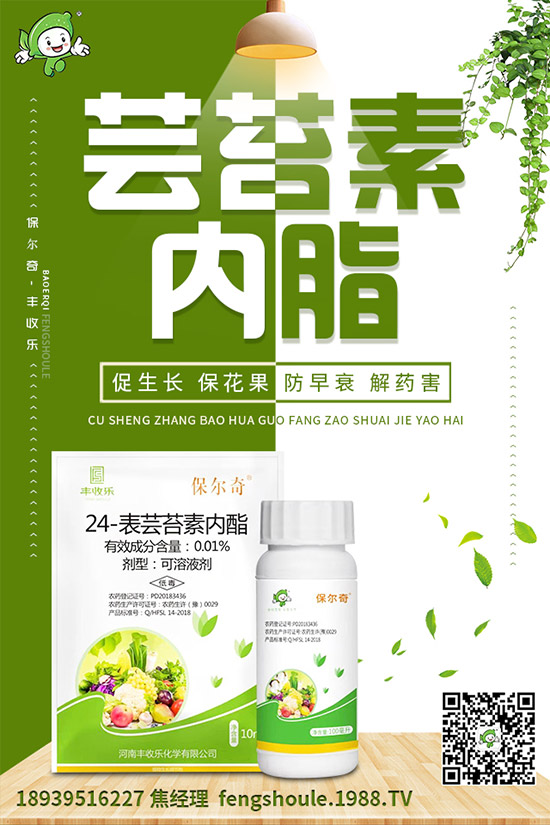 �������ô�޽ӣ���ϼ޽Ӹ߮a(ch��n)�Nֲ���g(sh��)��