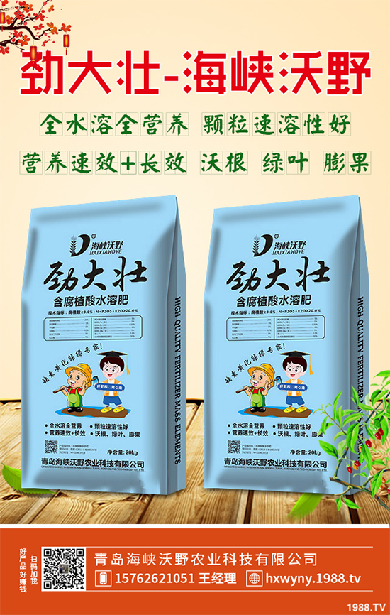 2020年黃精種植前景如何?如何種植才能獲得更高的經(jīng)濟(jì)收入?