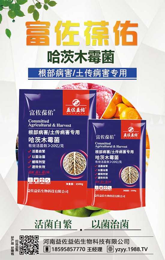 ���^����ʲô�I�B(y��ng)�rֵ�������^��ʲô��̎��