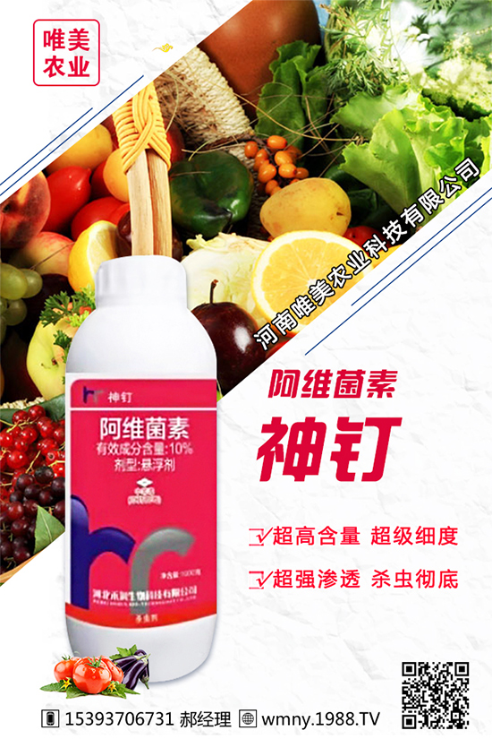 洋蔥的栽培品種有哪些？種植洋蔥對環(huán)境條件的要求！