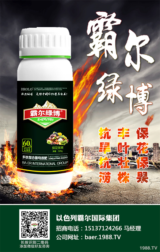 ������ʲô�r(sh��)�򲥷N��2020���������粥�����ă�(y��u)ȱ�c(di��n)����