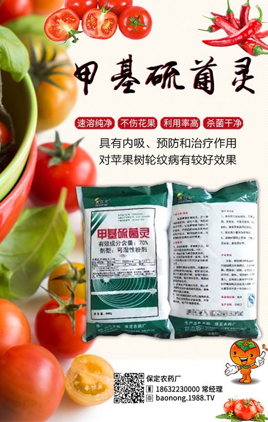 ������������أ���Ч����â���ǰ��������u���