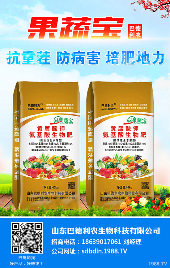 新疆什么時(shí)間播種比較好?棉花早播和晚播好處和缺點(diǎn)有哪些?