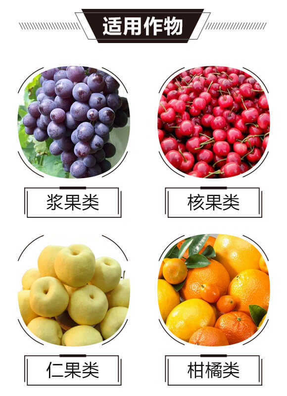 碳?xì)浜朔?紅藻門-碳?xì)鋰?guó)際_03