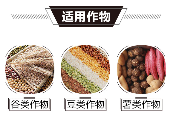 碳?xì)浜朔?金藻門(mén)-碳?xì)鋰?guó)際_02