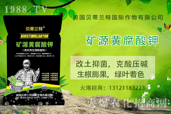 ���ܹ���ô�N�����ܹϷNֲ��ԓע����Щ�����