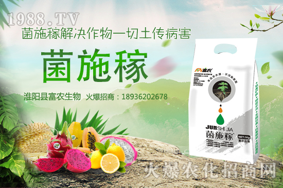 2020���r(n��ng)��NҰ��ٍ�X�᣿�x����ЩҰ��Ʒ�NЧ��������h�ղأ�