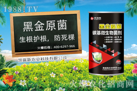     ����ʲô�r(sh��)����������׵��ի@�r(sh��)�������׵ĠI(y��ng)�B(y��ng)�r(ji��)ֵ��