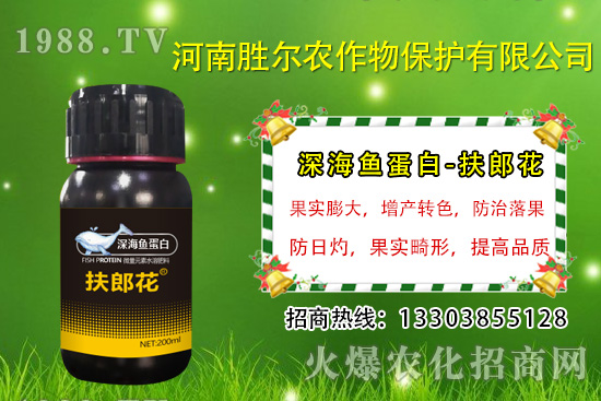 2020��7��13�ս��Շ���(n��i)���@�r�����鼰�������u