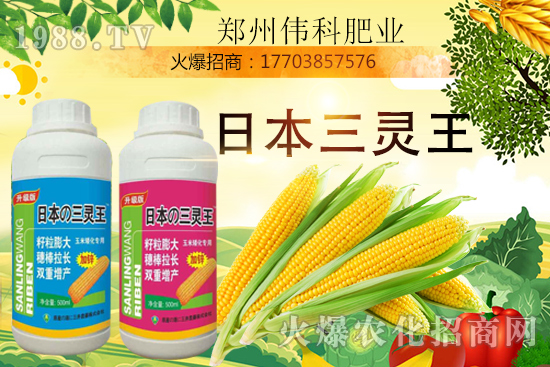 ���׿����״κ������׿����r�g�����׿����aƷ�x����