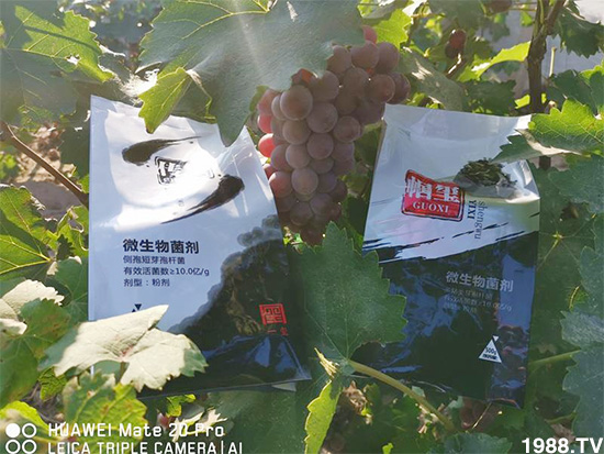 �îa(ch��n)Ʒ����������һ�t���΢������������t���͑��挍(sh��)������