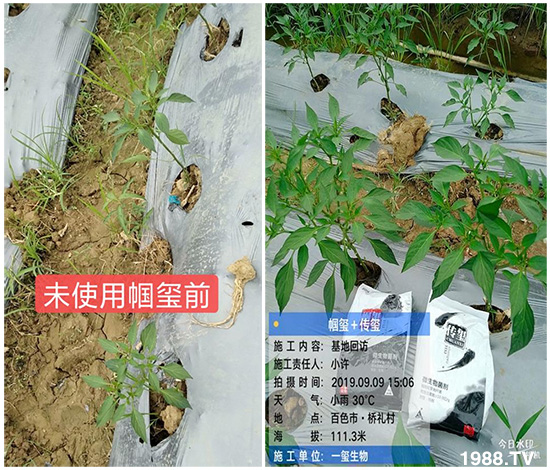 �îa(ch��n)Ʒ����������һ�t���΢������������t���͑��挍(sh��)������