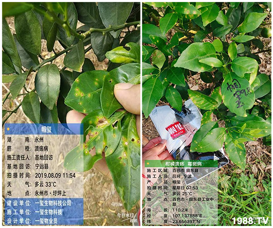 �îa(ch��n)Ʒ����������һ�t���΢������������t���͑��挍(sh��)������