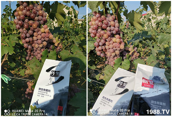 �îa(ch��n)Ʒ����������һ�t���΢������������t���͑��挍(sh��)������