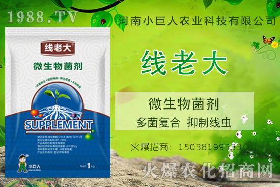 ���Y(ji��)���xզ���������Y(ji��)���x����-�����ϴ󡱶����(f��)�������ƾ��x��