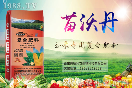 ��(f��)�Ϸ�