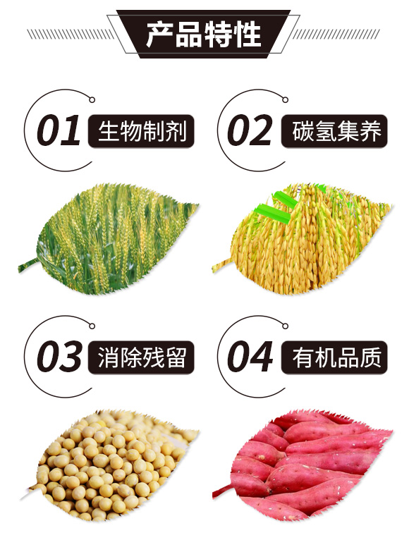 碳?xì)浜朔?金藻門(mén)-碳?xì)鋰?guó)際_02