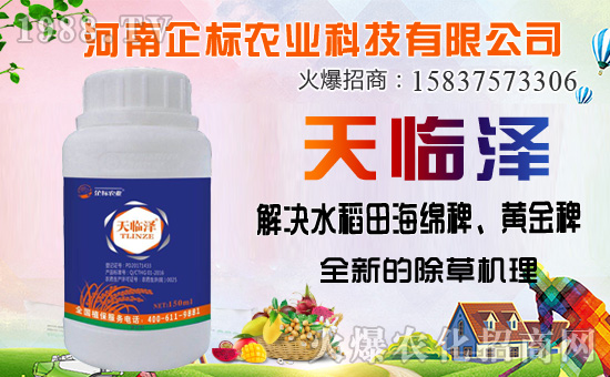 ������������ȷ�������������������݄��Ј�ͻ��20�|��Ԫ