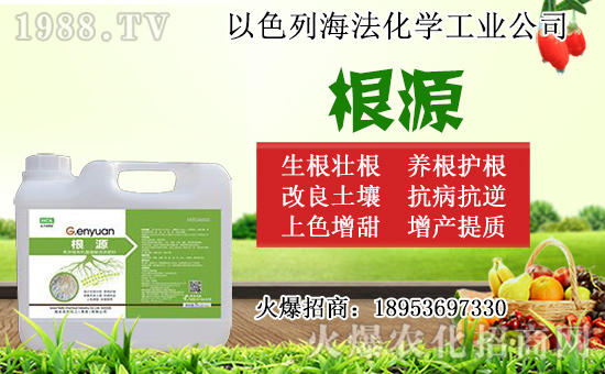 無花果怎么扦插?無花果扦插時(shí)間及扦插繁殖方法!