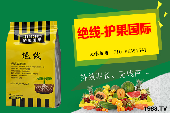 杏樹生長條件有哪些,杏樹栽培管理技術(shù)!