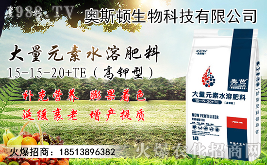 �����޽ӷ�������Щ�������޽ӳɻ�����������