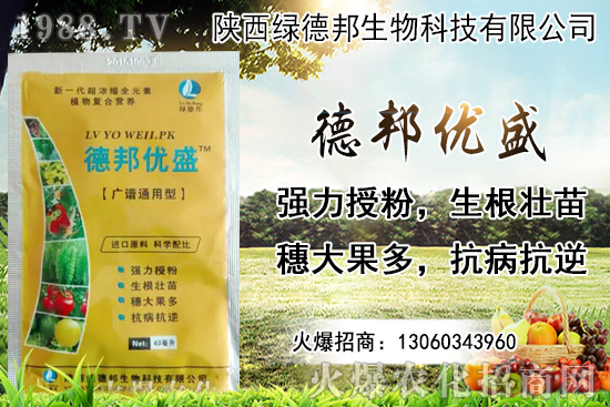 �����r(ji��)������Xһ���������Nֲ�ĭh(hu��n)�������x������