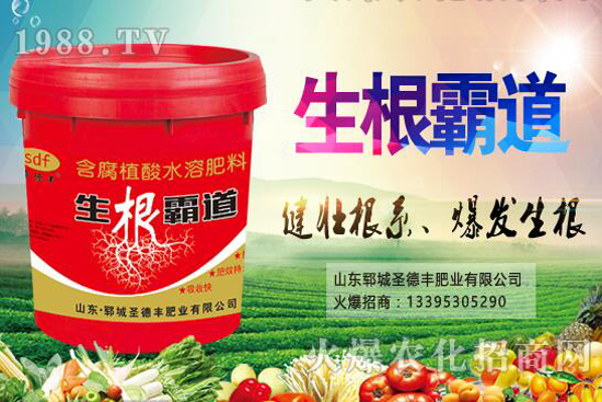 ������Nֲ����(ji��)��ʲô�r(sh��)����������Nֲ��������Щ��