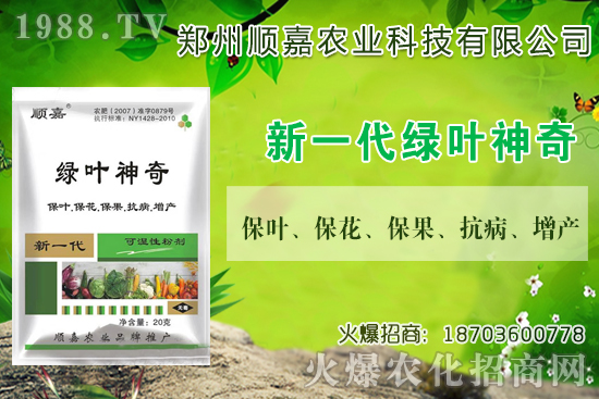 С���r(ji��)���B�B�ϝq���F(xi��n)��һ������X(qi��n)��