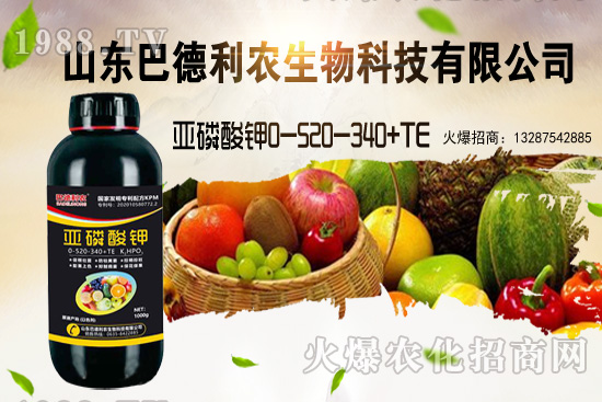 С���r(ji��)���ܝq�������Xһ�������ֵ؅^(q��)�r(ji��)��������