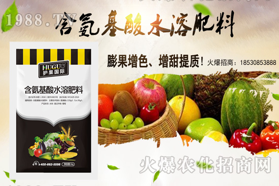 �|���m����ʲô����(ji��)�������|������M�зNֲ��