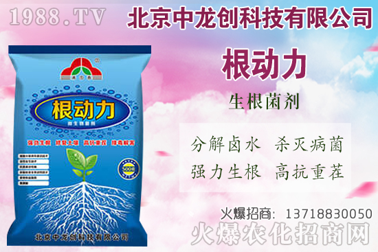 ���}���������������Щ�����}��ʩ�ʼ��g(sh��)Ҫ�c��