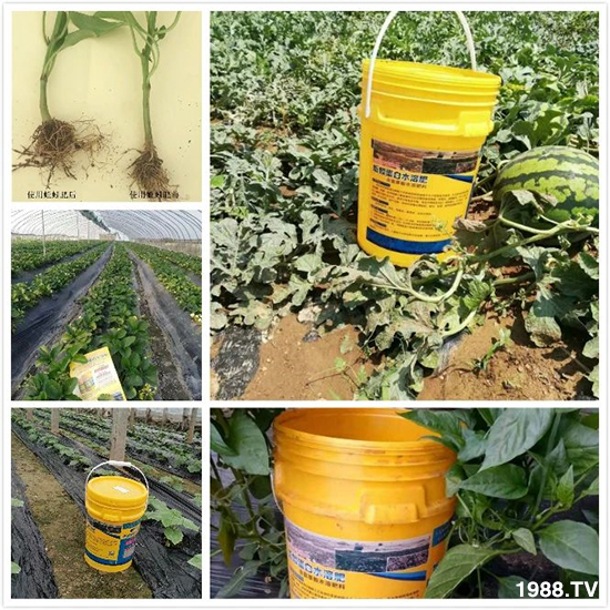 ˮ�ܷ��Ј���׃��������徫���~���׌�����������1000���Ñ��������]��