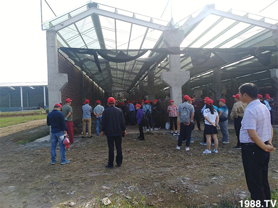 ˮ�ܷ��Ј���׃������徫���~���׌��������棡1000���Ñ��������]��