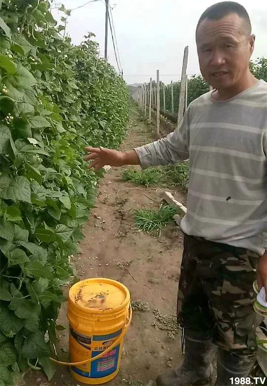 ˮ�ܷ��Ј���׃��������徫���~���׌�����������1000���Ñ��������]��